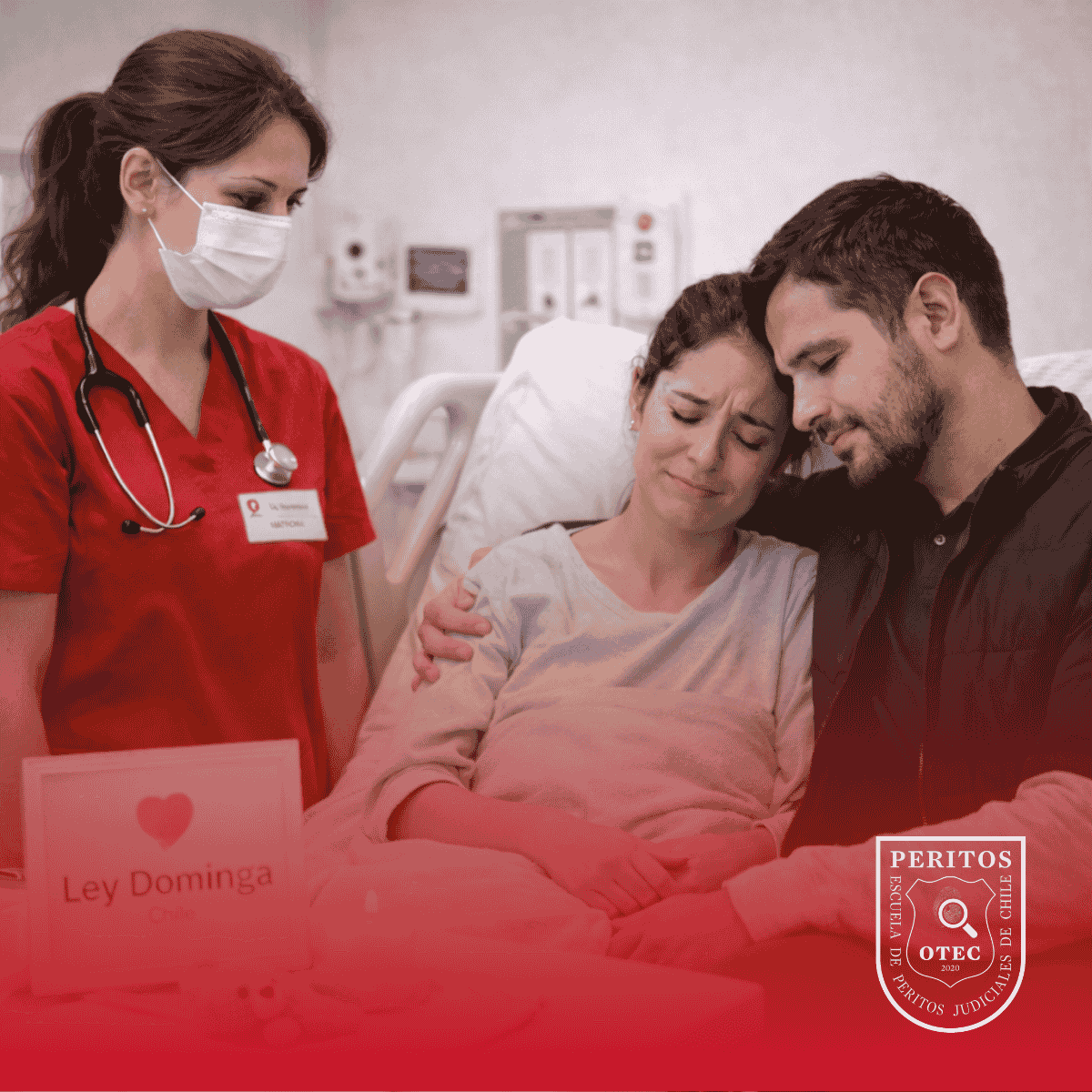 Webinar Ley Dominga 21.371 Matroneria y Humanidad en el Duelo